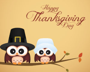 owl-thanksgiving-wallpaper-android